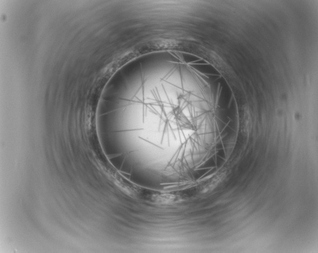 X0000055520230200508191554