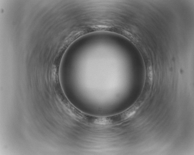 X0000055520231200508191554