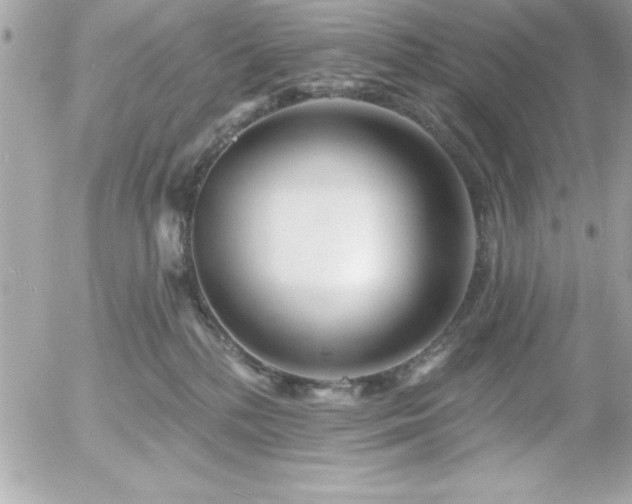 X0000055520232200508191554