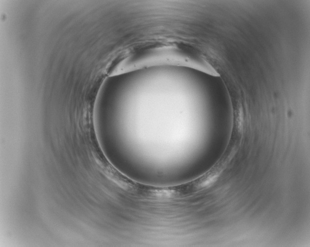 X0000055520233200508191554