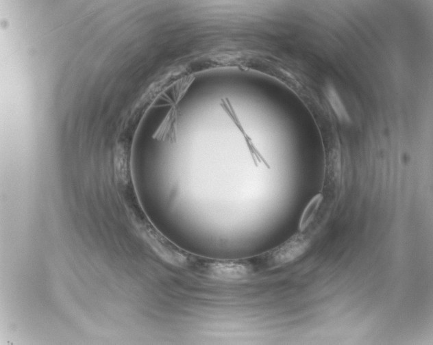 X0000055520234200508191554