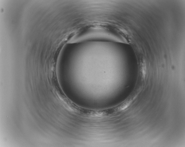 X0000055520235200508191554