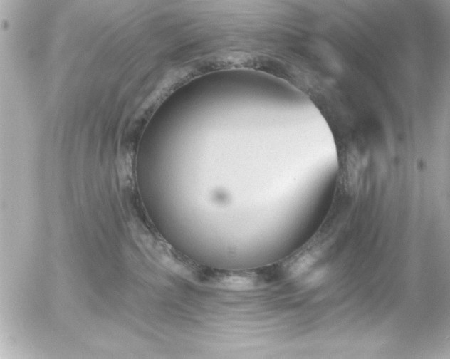 X0000055520236200508191553