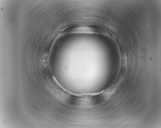 X0000055520237200508191553