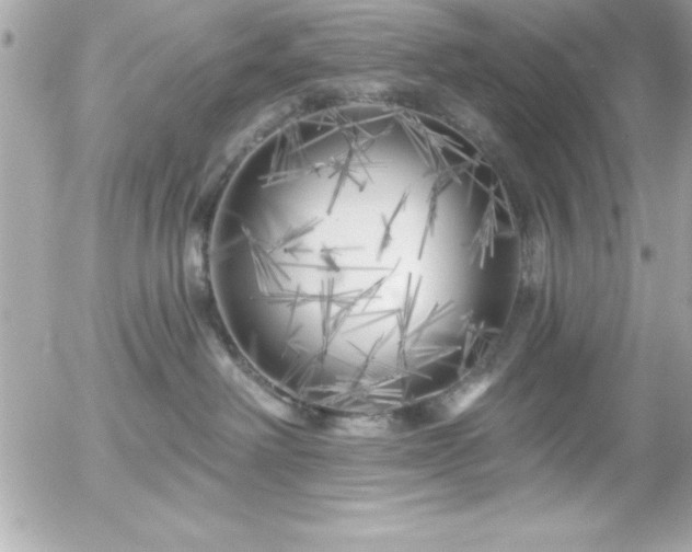 X0000055520238200508191553