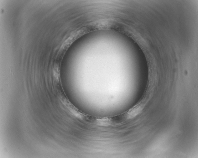 X0000055520240200508191553