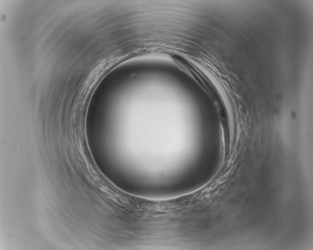 X0000055520241200508191553