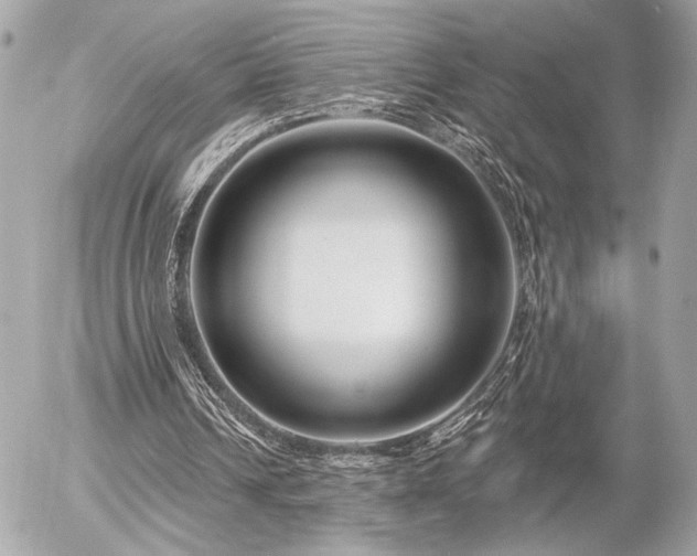 X0000055520242200508191553