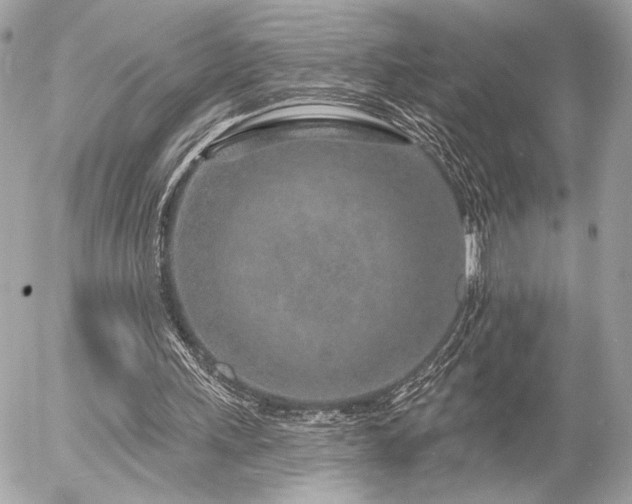 X0000055520243200508191553