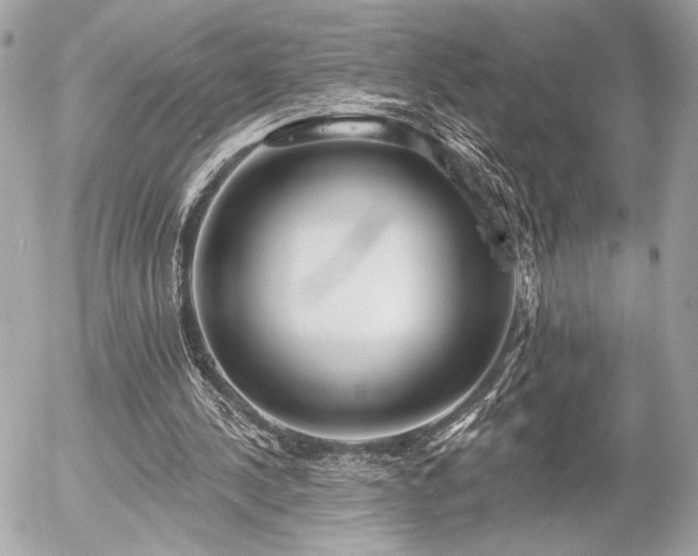 X0000055520244200508191553