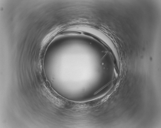 X0000055520245200508191553