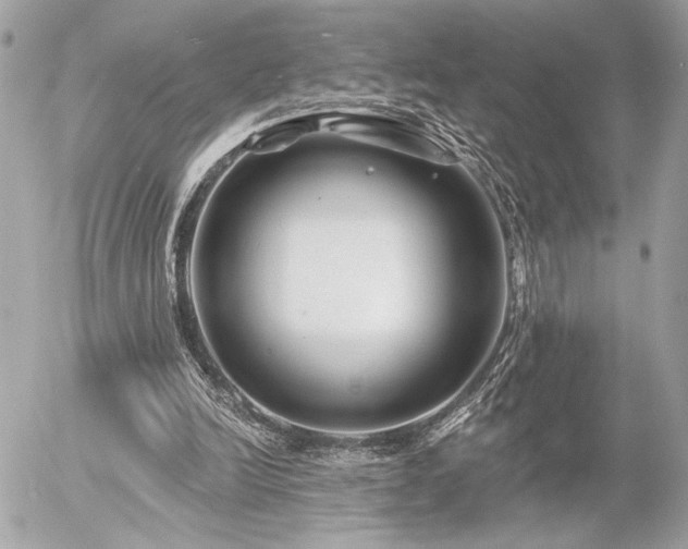 X0000055520246200508191553