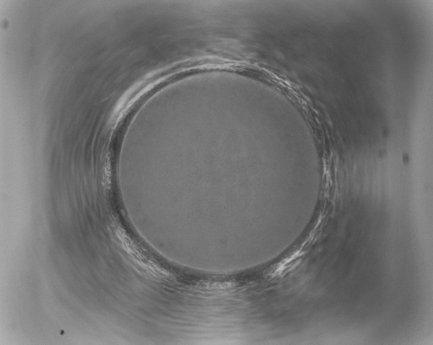 X0000055520247200508191553