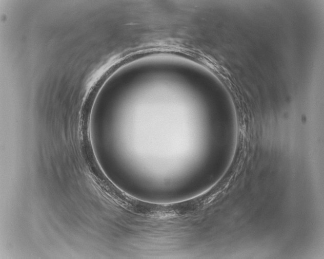 X0000055520248200508191553