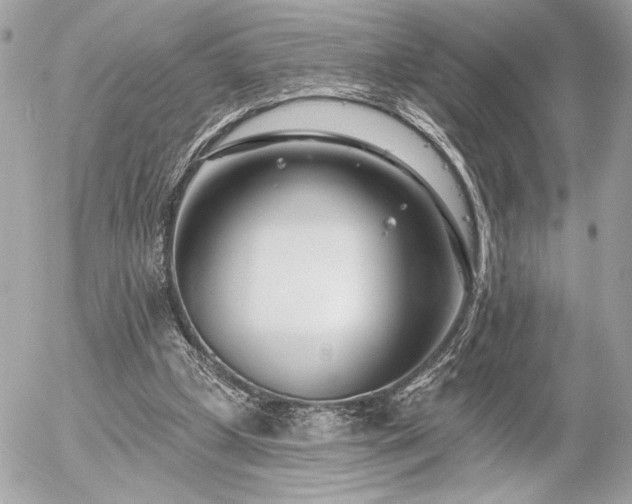 X0000055520249200508191553