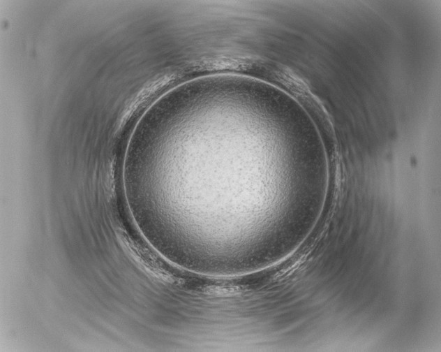 X0000055520250200508191553