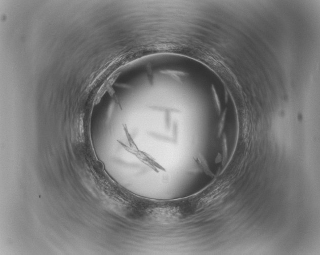 X0000055520251200508191553