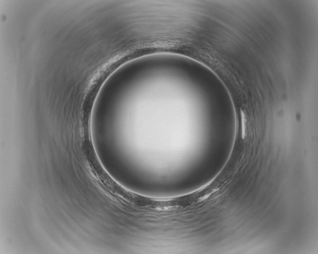 X0000055520252200508191553