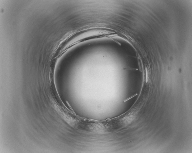 X0000055520253200508191553