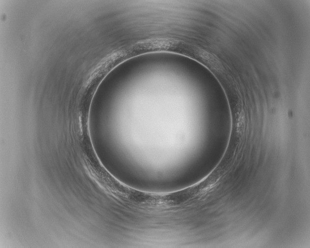 X0000055520254200508191553