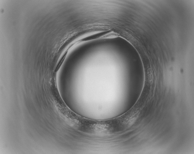 X0000055520255200508191553