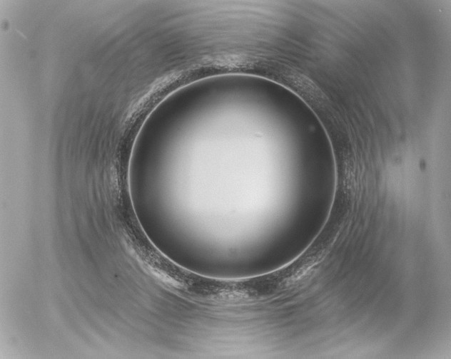 X0000055520256200508191553