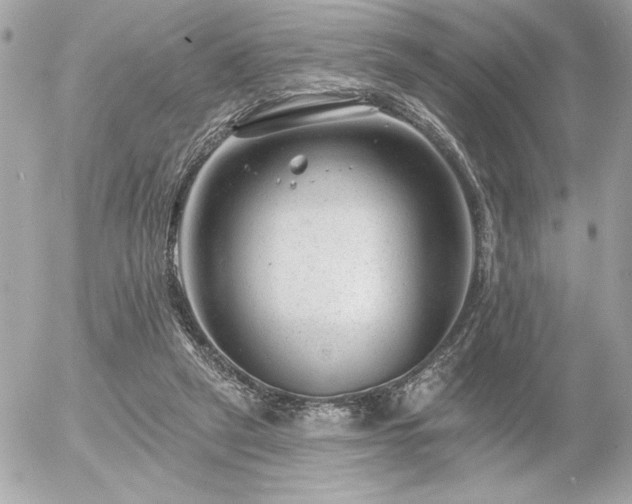 X0000055520257200508191553