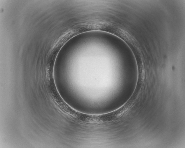 X0000055520258200508191553