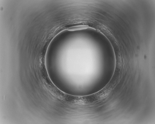 X0000055520259200508191553