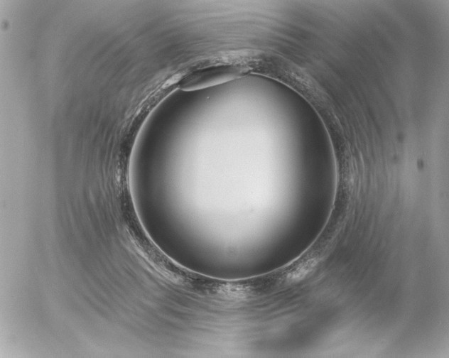 X0000055520261200508191553