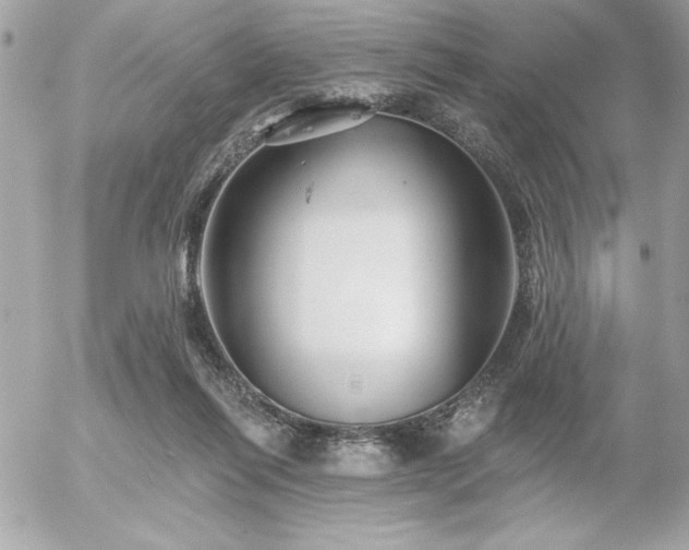 X0000055520262200508191553