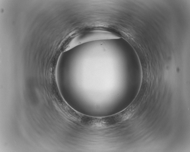 X0000055520263200508191553