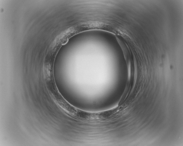 X0000055520264200508191553