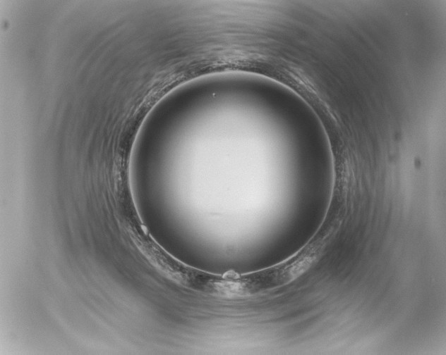 X0000055520265200508191553