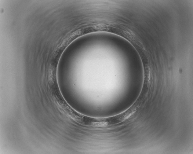 X0000055520266200508191553