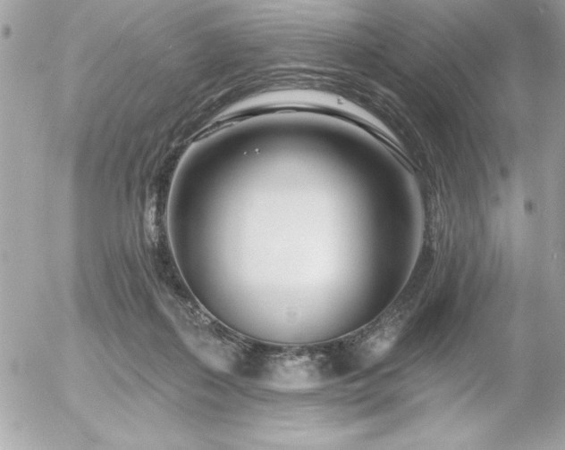 X0000055520267200508191553