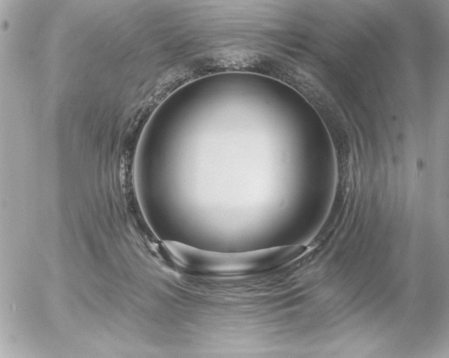 X0000055520268200508191553