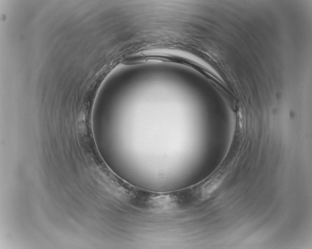 X0000055520269200508191553