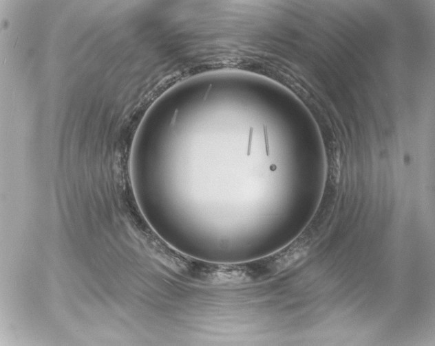 X0000055520270200508191553