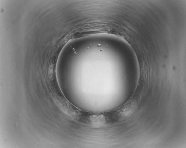 X0000055520271200508191553