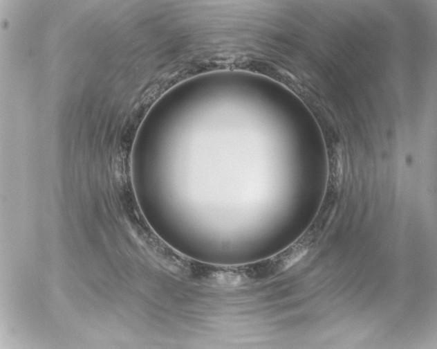 X0000055520272200508191553