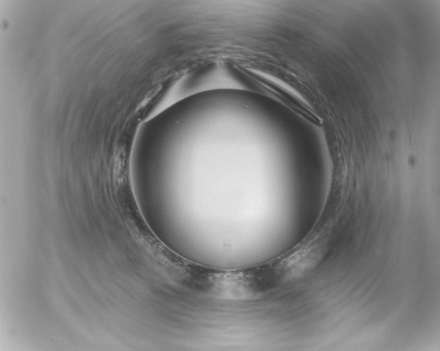 X0000055520273200508191553