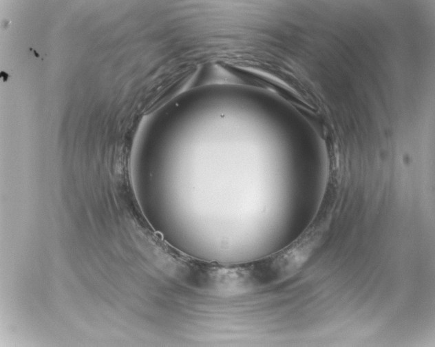 X0000055520277200508191553