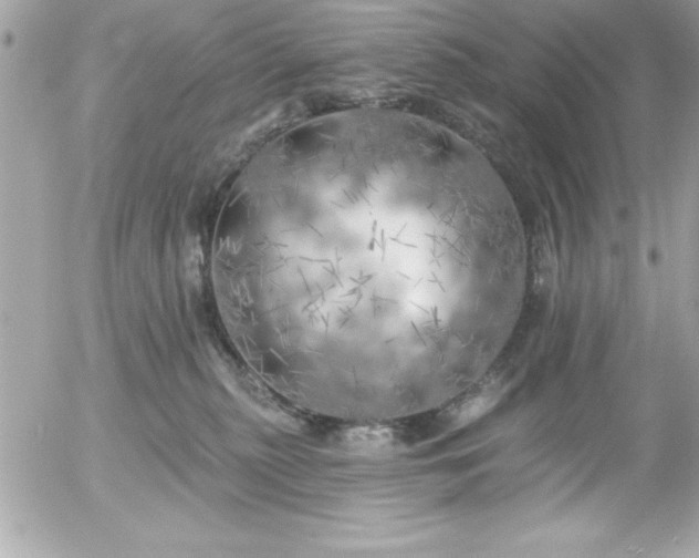 X0000055520279200508191553