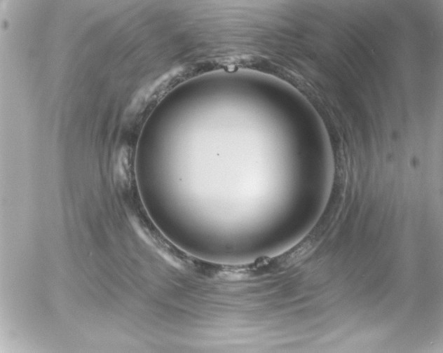 X0000055520280200508191553