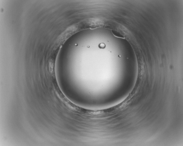 X0000055520281200508191553