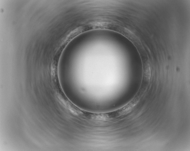 X0000055520282200508191553