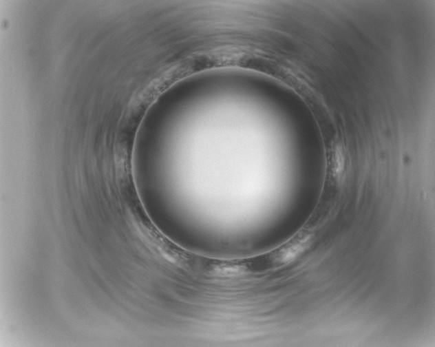 X0000055520283200508191553