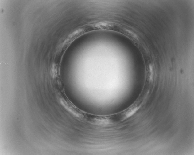 X0000055520284200508191553