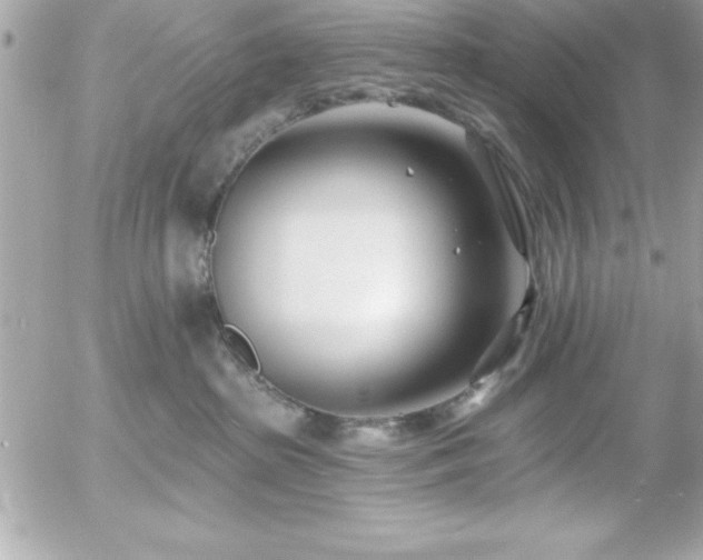 X0000055520285200508191553